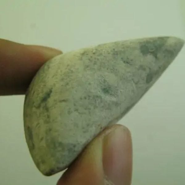 Snake Heart Fossil Type - E3 - Image 3