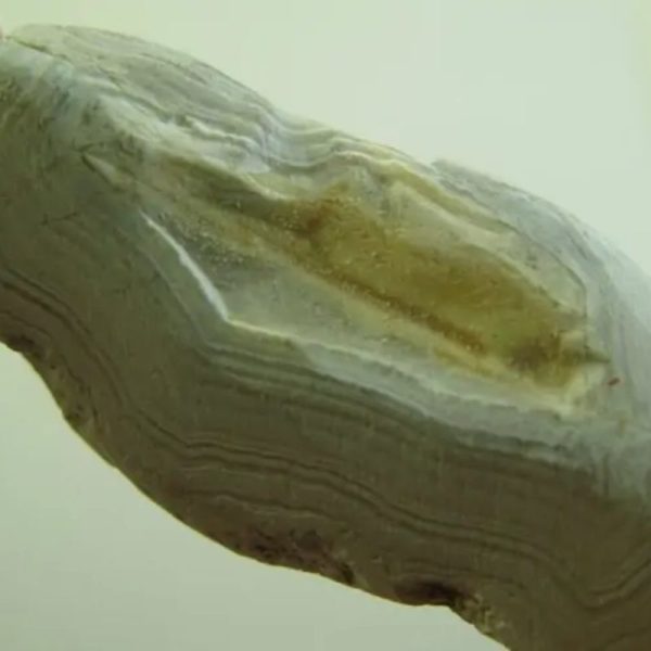Snake Heart Fossil Type - F2 - Image 3