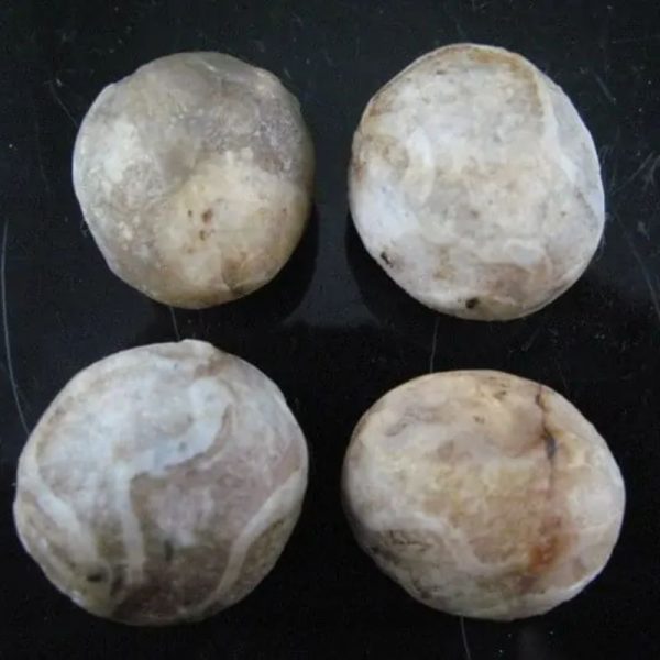 Gaharu/Agarwood Pearl - Type A1 - Image 3