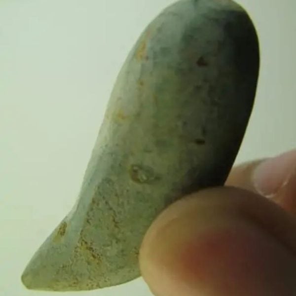 Snake Heart Fossil Type - G7 - Image 3