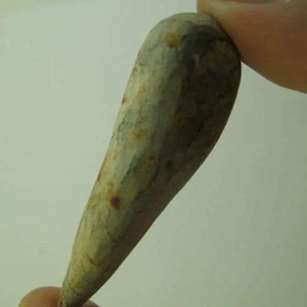 Snake Heart Fossil Type - G6 - Image 3