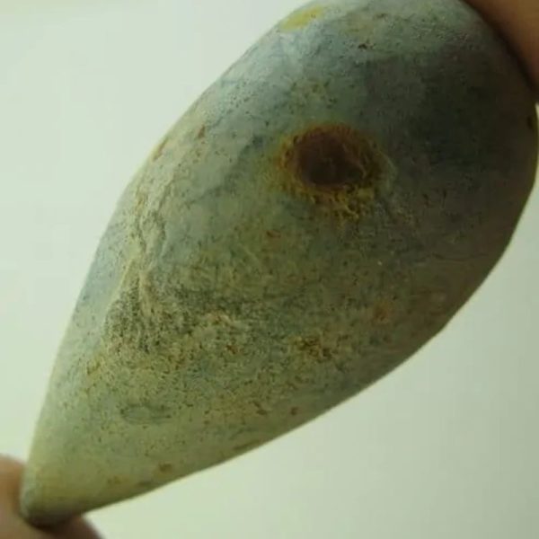 Snake Heart Fossil Type - G5 - Image 3