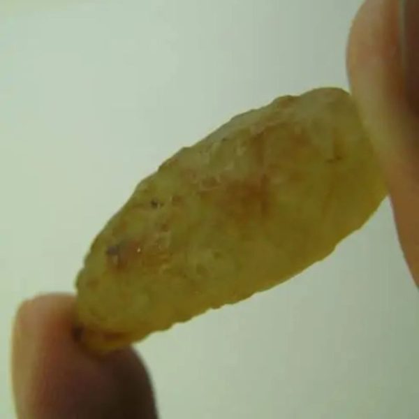 Snake Heart Fossil Type - K4 - Image 3