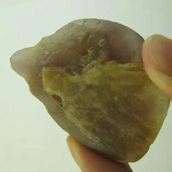 Snake Heart Fossil Type - K2 - Image 3