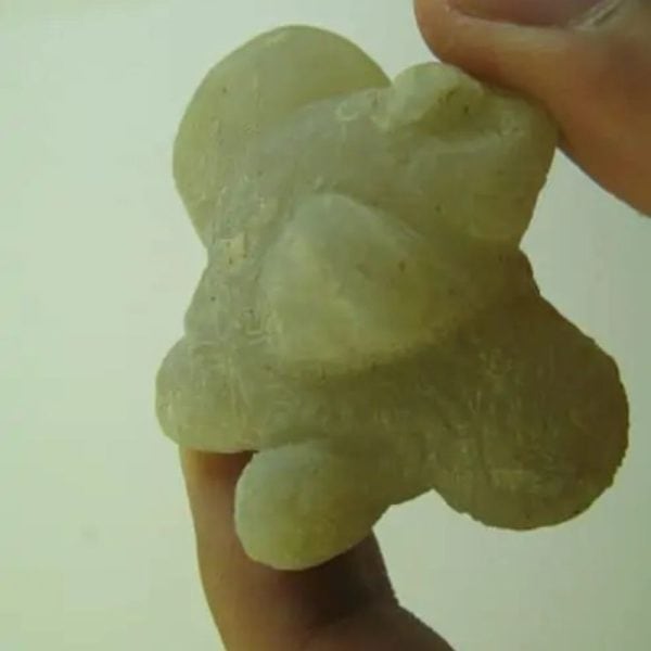 Snake Heart Fossil Type - J5 - Image 3