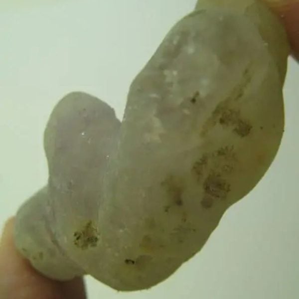 Snake Heart Fossil Type - J2 - Image 3
