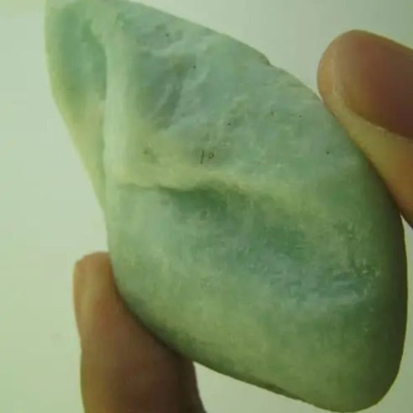 Snake Heart Fossil Type - L3 - Image 3