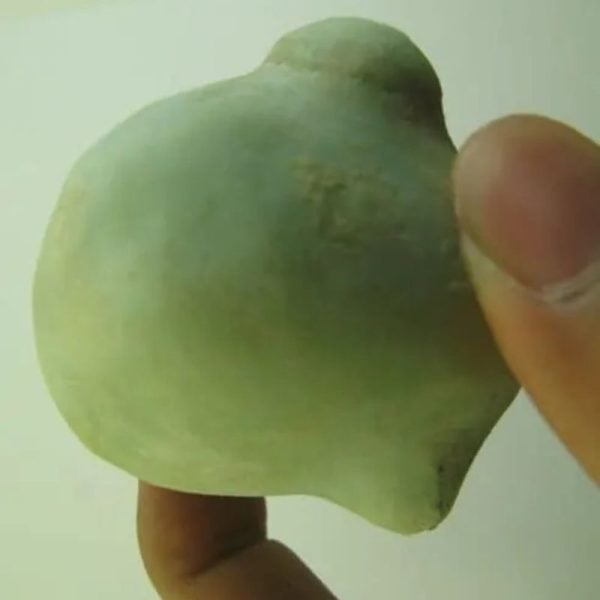 Snake Heart Fossil Type - L2 - Image 3