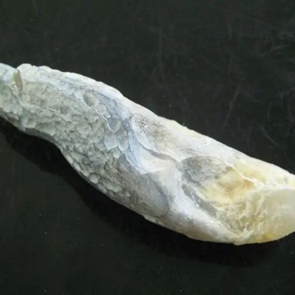 Snake Heart Fossil Type - M2 - Image 3
