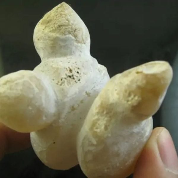 Snake Heart Fossil Type - A2 - Image 3