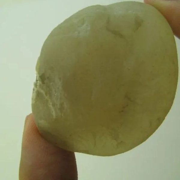 Snake Heart Fossil Type - K1 - Image 3