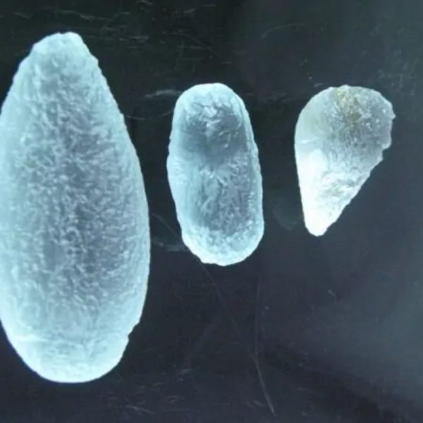 Rain Water Pearls - Type C4 - Image 3