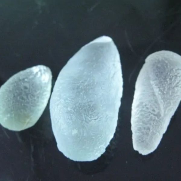 Rain Water Pearls - Type C5--Fractured - Image 3