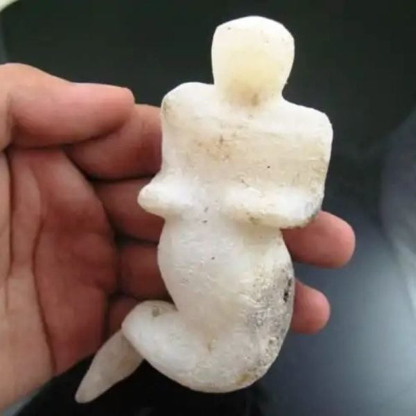 Mermaid Fossil - MF 3 - Image 3