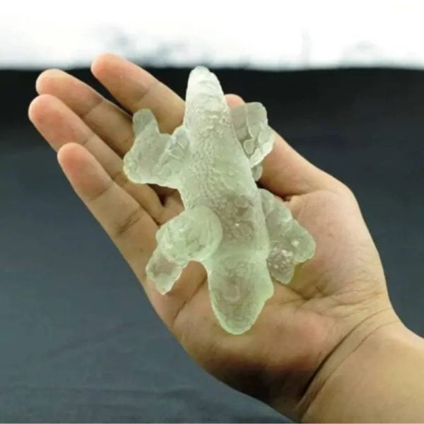 Fossilized Lizard Biawak Siluman - Type A6 - Image 3