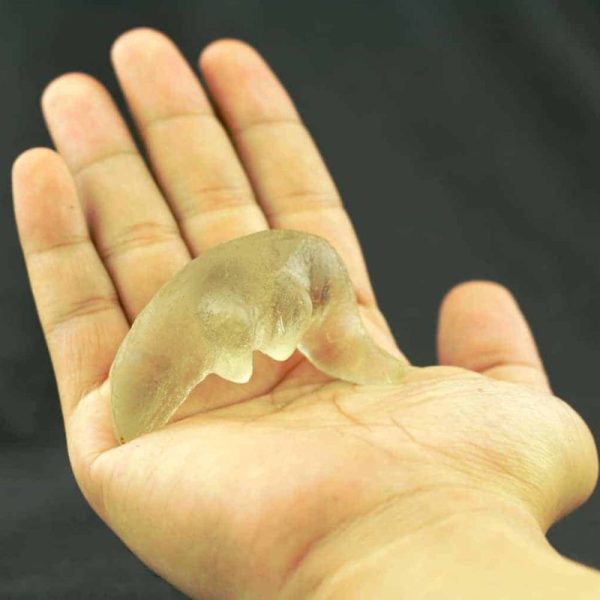 Fossilized Weasel Pearl – Type A8