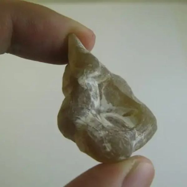 Puspo Bliring Snake Horn - Type D9 - Image 3