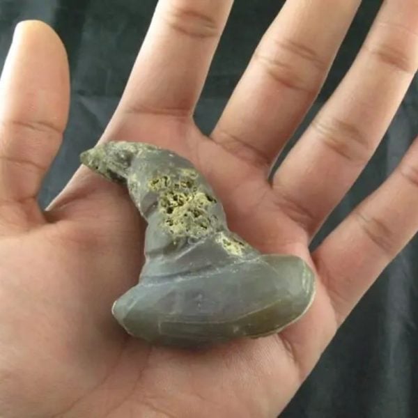 Giant Snake Horn Fossil - Type A9 - Image 3