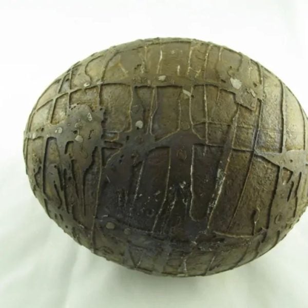 Mountain Belt Pearl - Type A1.4 (Egg Shape) - Image 4