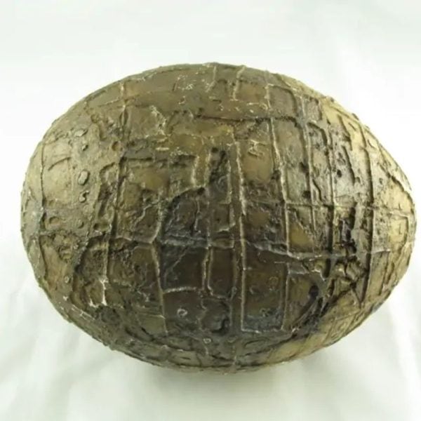 Mountain Belt Pearl - Type A1.3 (Egg Shape) - Image 4