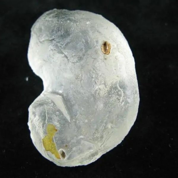 Large Dew Pearl - Type F - Image 4