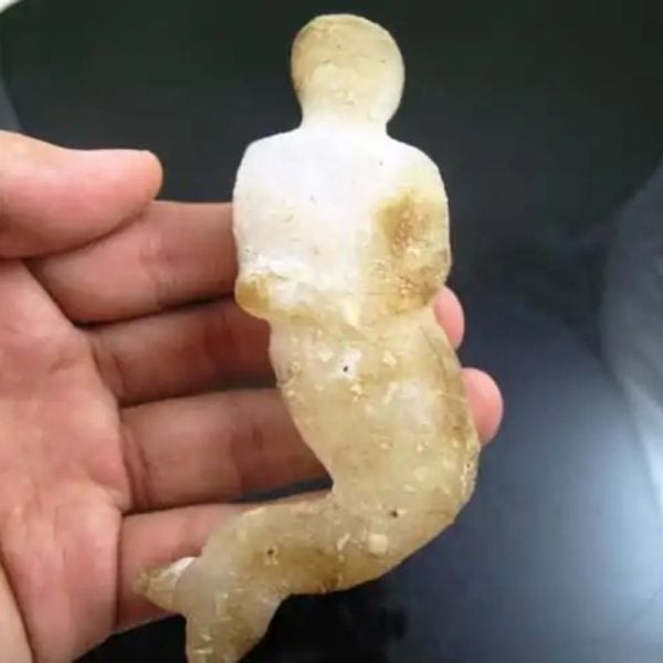 Mermaid Fossil - MF 2 - Image 4