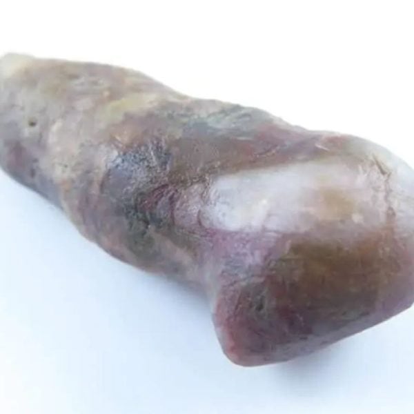 Fossilized Caterpillar - Type A7 - Image 2