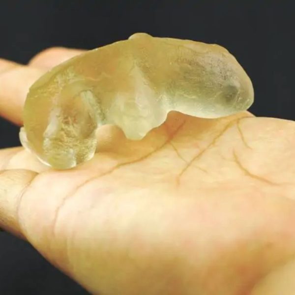 Fossilized Weasel Pearl - Type A8 - Image 4