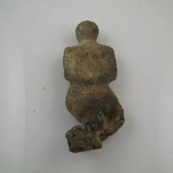 Shaman Fossil - BK 28 - Image 4