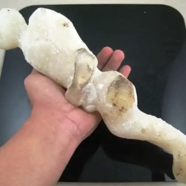 Shaman Fossil - BK 47 - Image 4