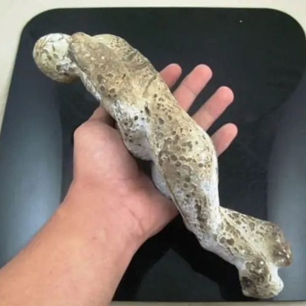 Shaman Fossil - BK 46---SOLD - Image 4