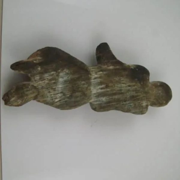 Shaman Fossil - BK 34 - Image 4