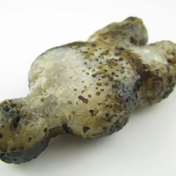Shaman Fossil - Type A2 - Image 4