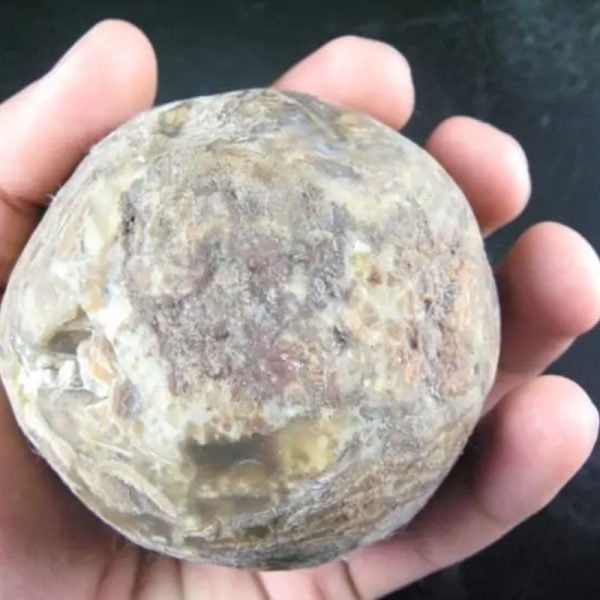 Kelud Mountain Pearl - Type D2 - Image 4
