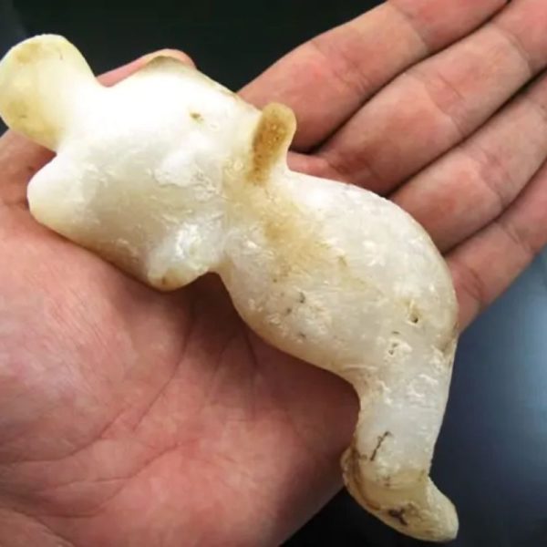 Mermaid Fossil - MF 7 - Image 5