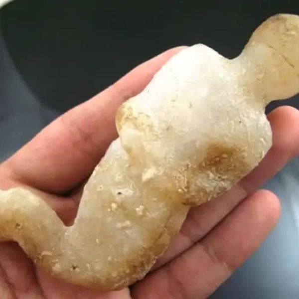 Mermaid Fossil - MF 2 - Image 5