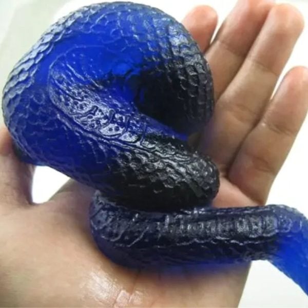 Snake Fossil - SF 62 (Crystal) - Image 3