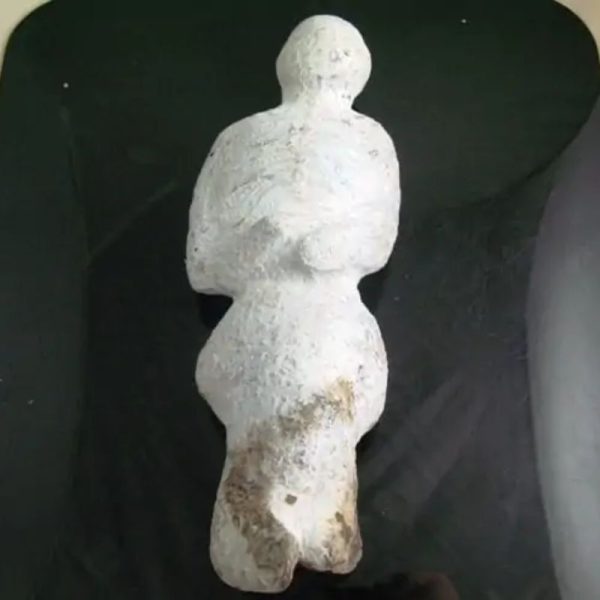 Shaman Fossil - BK 44 - Image 5