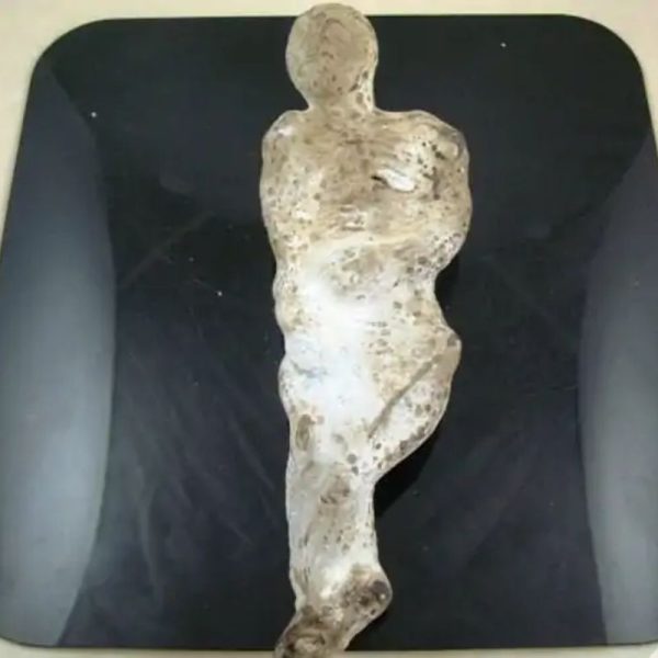 Shaman Fossil - BK 46---SOLD - Image 5