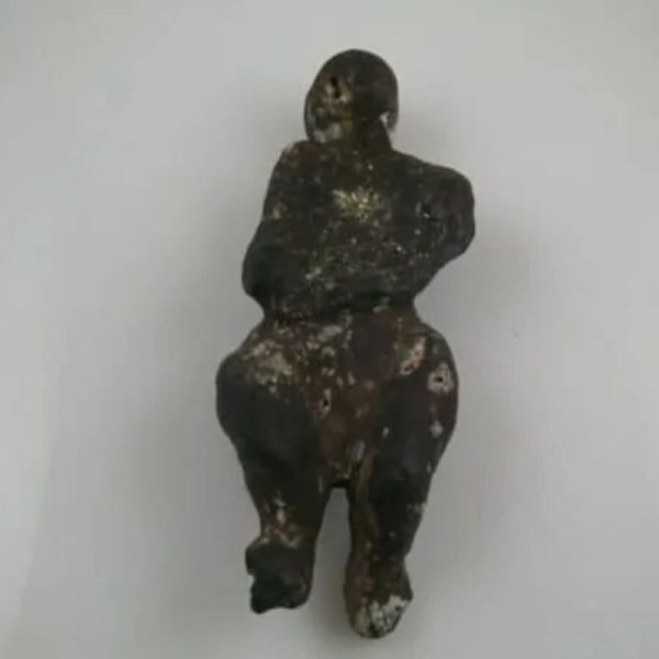 Shaman Fossil - BK 33---SOLD - Image 5