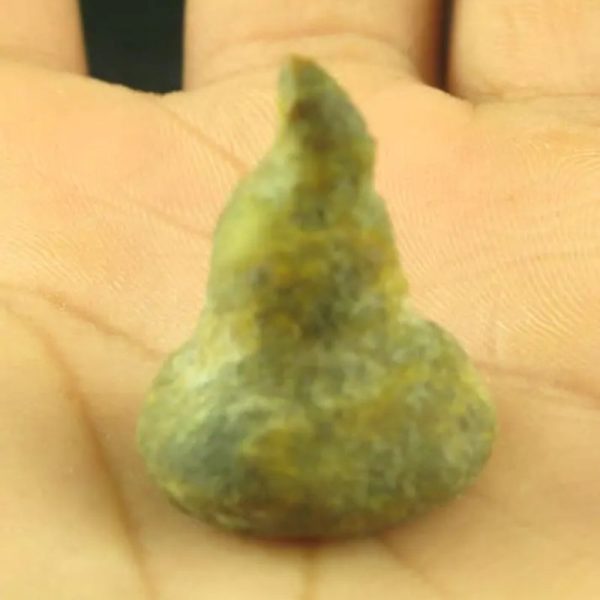 Dragon Horn Fossils (Siluman)  - Type E8 - Image 5