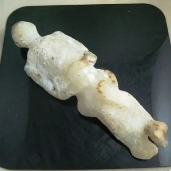 Shaman Fossil - BK 47 - Image 6