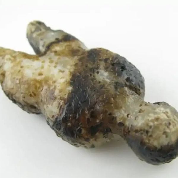 Shaman Fossil - Type A2 - Image 5