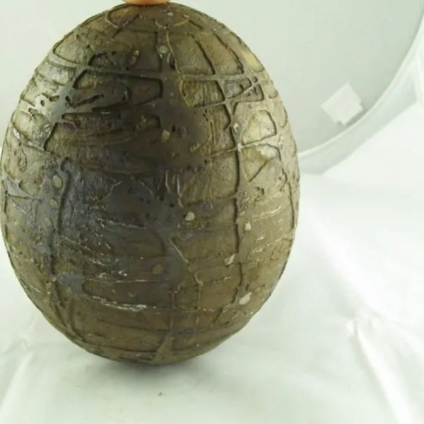 Mountain Belt Pearl - Type A1.4 (Egg Shape) - Image 6