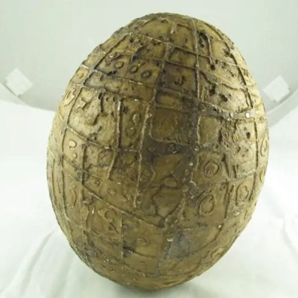 Mountain Belt Pearl - Type A1.3 (Egg Shape) - Image 6