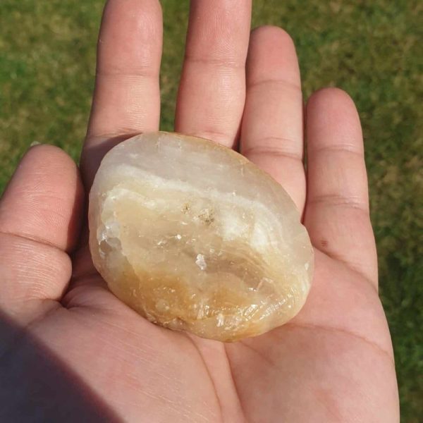 Elephant Semen Fossil - Type A1.5 - Image 2