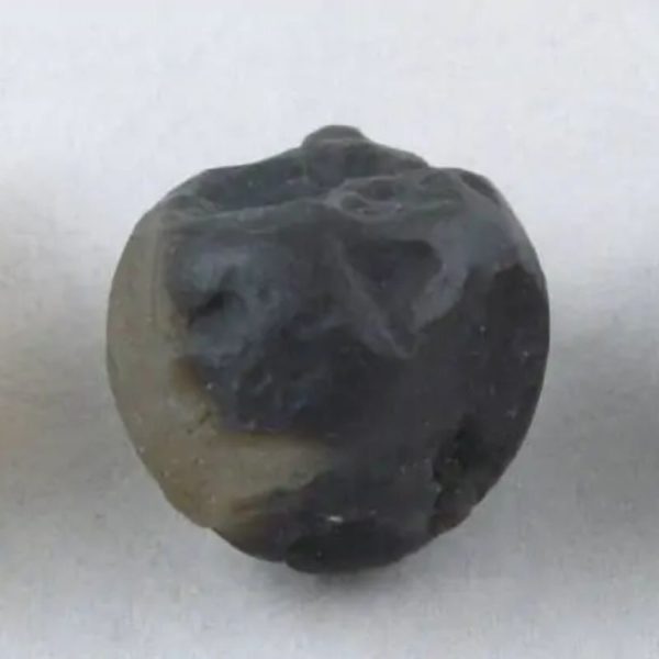 Fossilized Tiger Testicle Pearl - Type H - Image 4