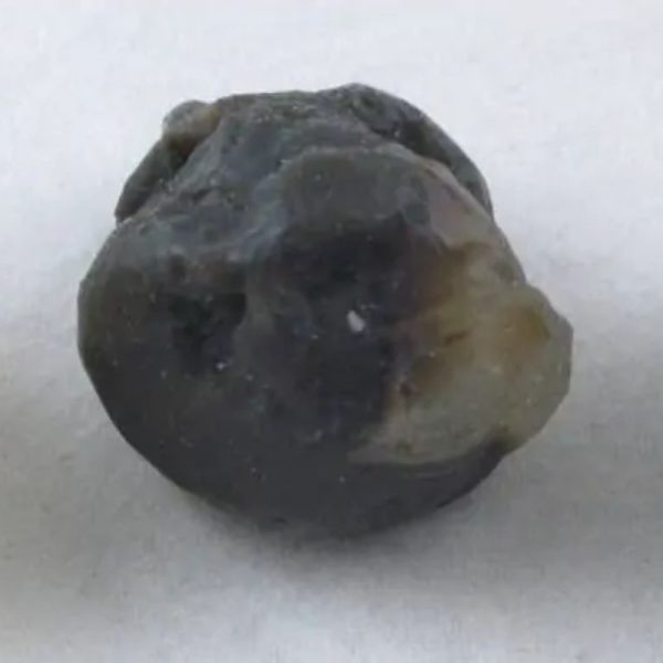 Fossilized Tiger Testicle Pearl - Type H - Image 3