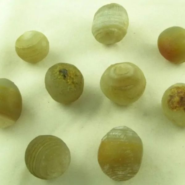 Fossilized Tiger Testicle Pearl - Type E (Sumatra)