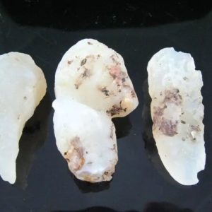 Fossilized White Tiger Testicles - Type H3 (Medium)
